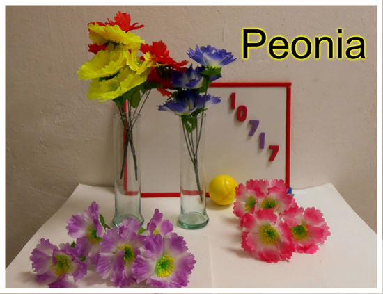 Imagen de FLOR RAMILLETE PEONIA 11.25